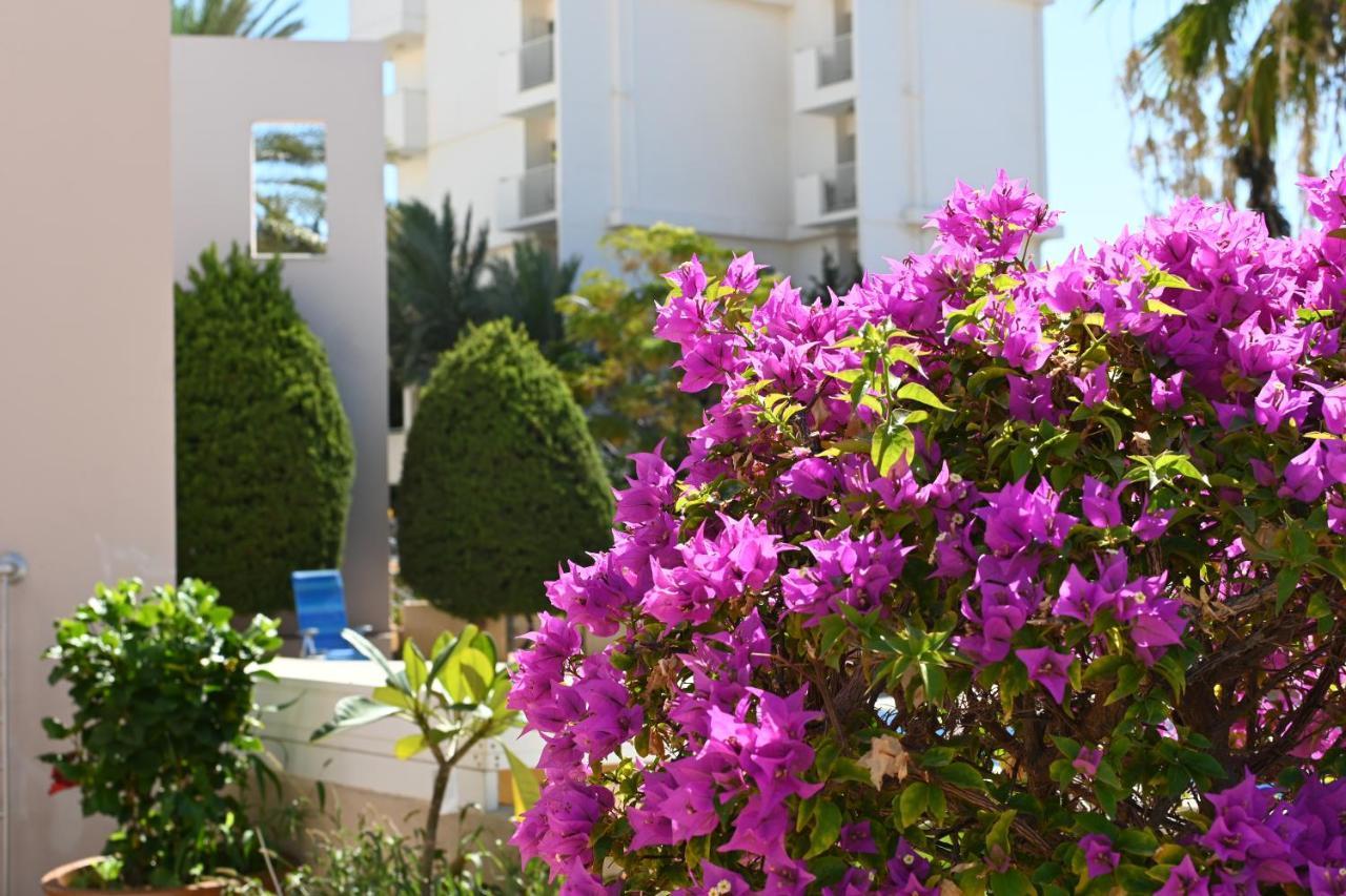 Отдыхайте С Удовольствием Pafos Exterior foto